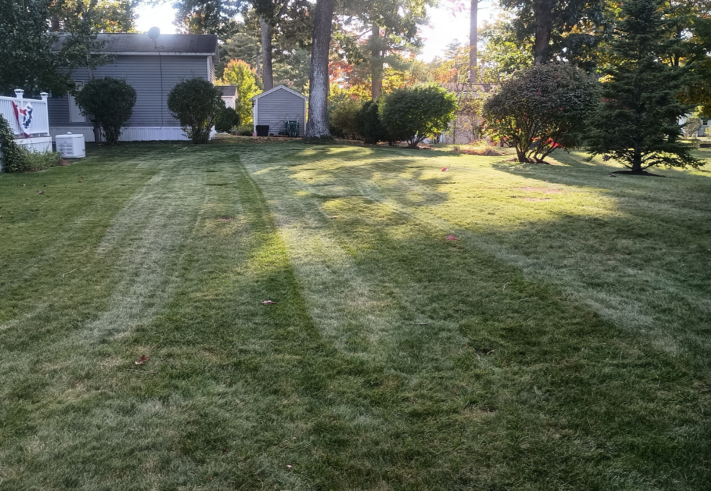 Mowed Yard